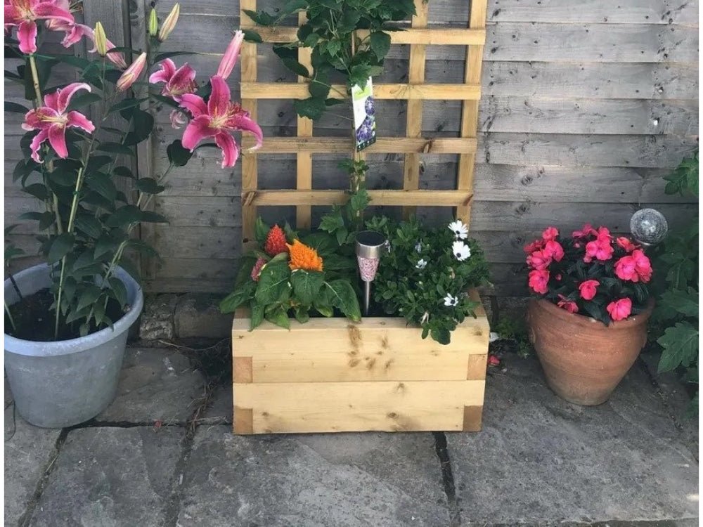 Devonshire Planters_