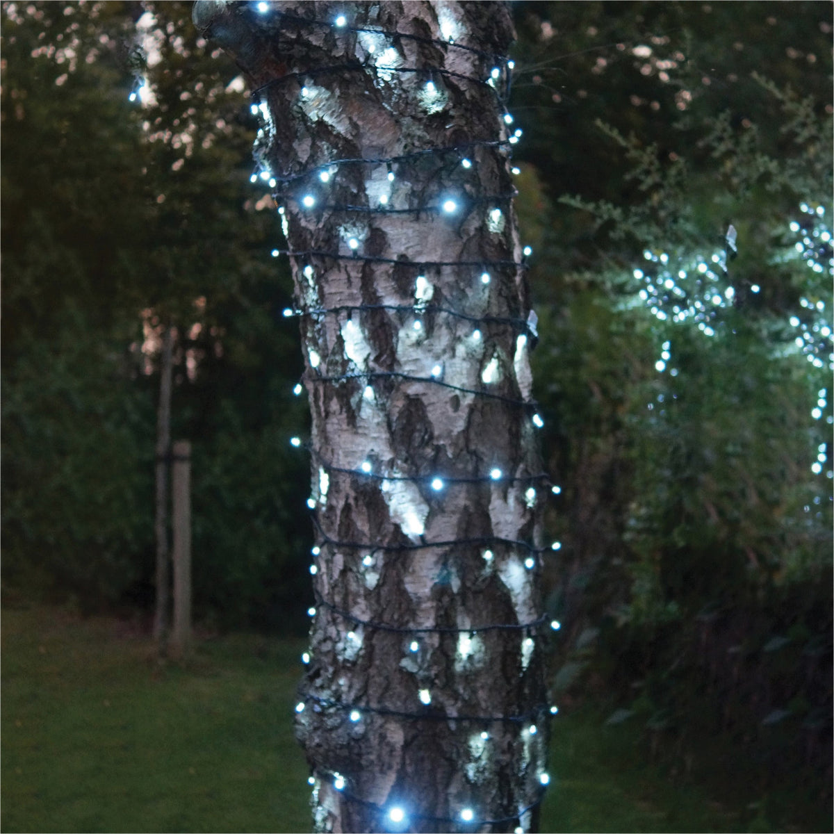 Eagle Connect LED String Lights With Black Rubber Cable_String Lights