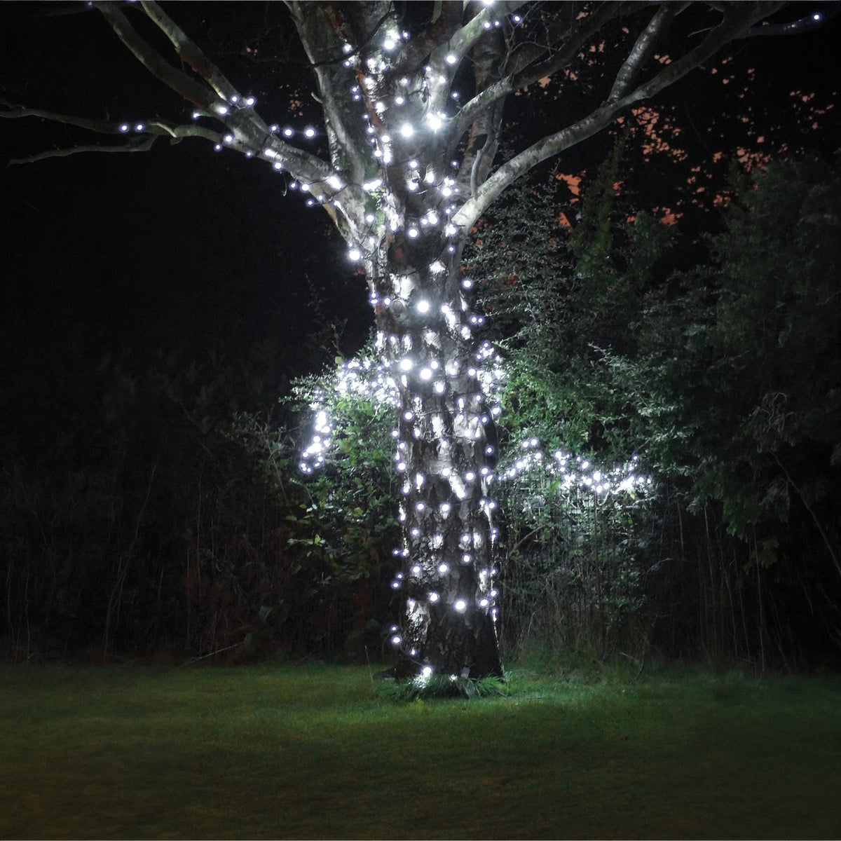 Eagle Connect LED String Lights With Black Rubber Cable_String Lights
