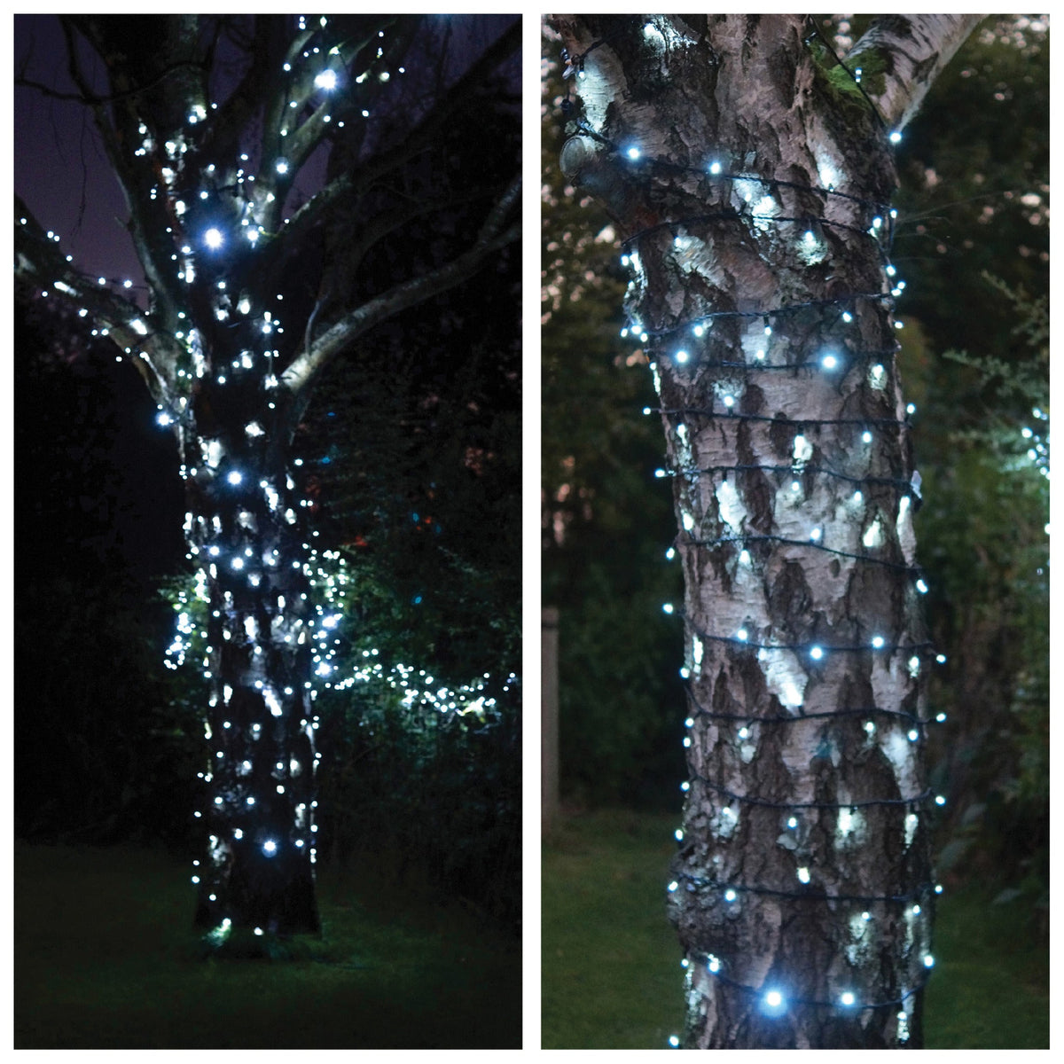 Eagle Connect LED String Lights With Black Rubber Cable_String Lights