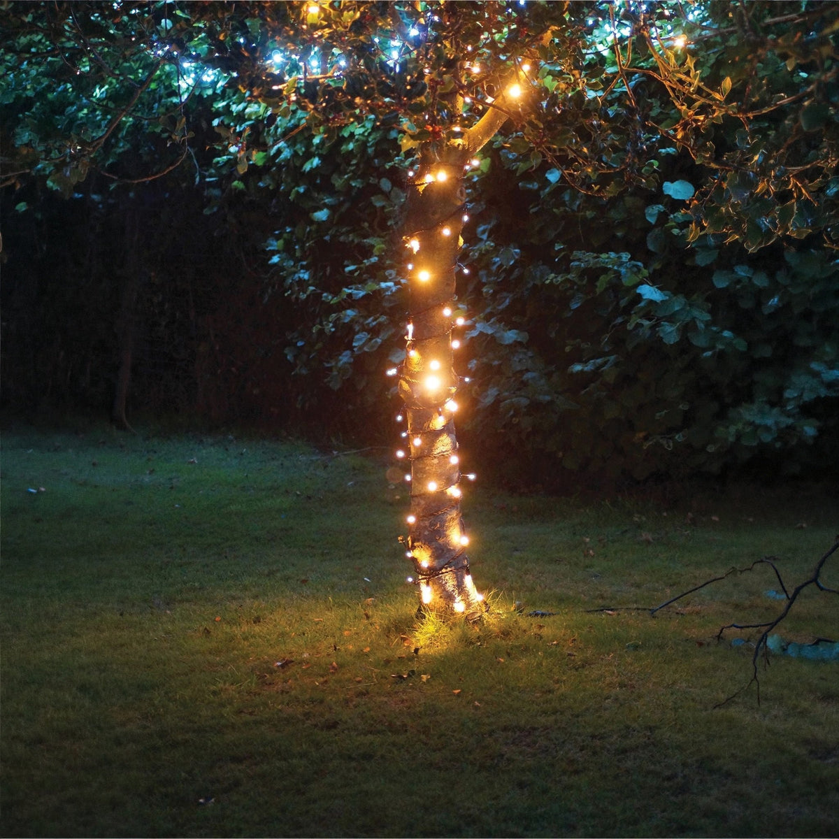 Eagle Connect LED String Lights With Black Rubber Cable_String Lights