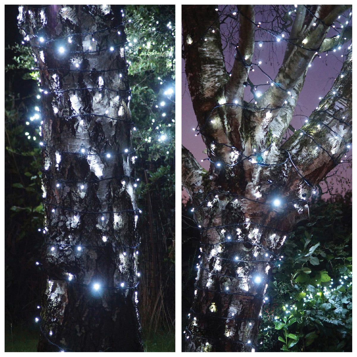 Eagle Connect LED String Lights With Black Rubber Cable_String Lights