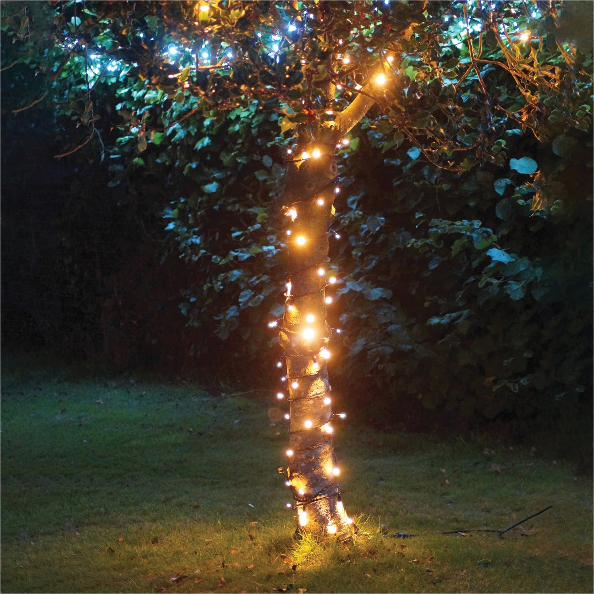 Eagle Connect LED String Lights With Black Rubber Cable_String Lights