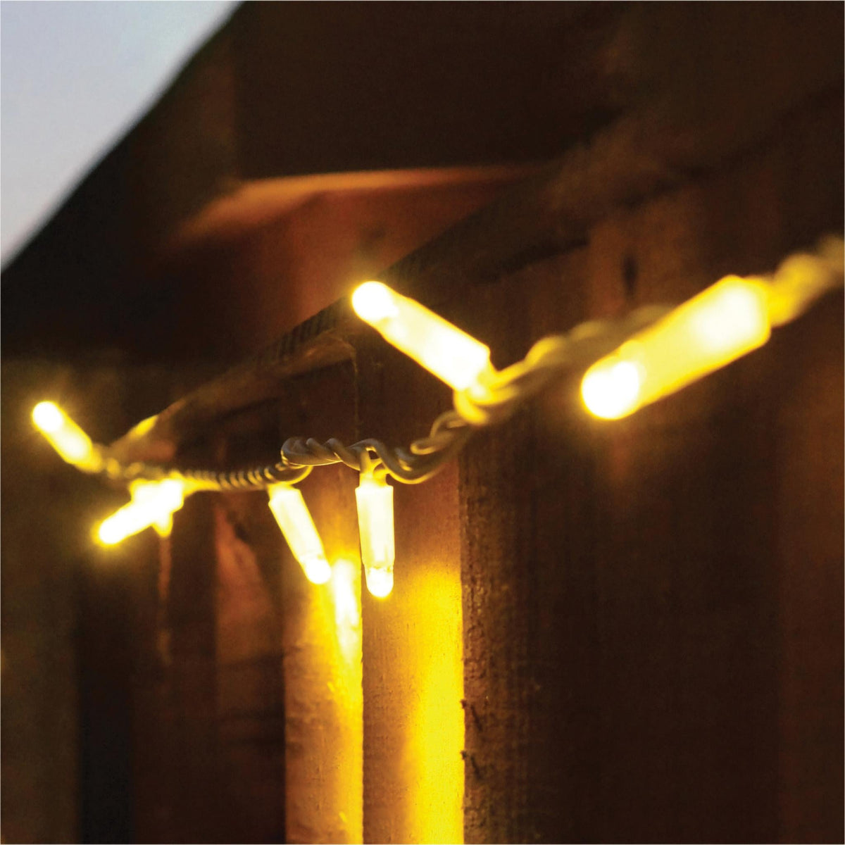 Eagle Connect LED String Lights With White Rubber Cable_String Lights
