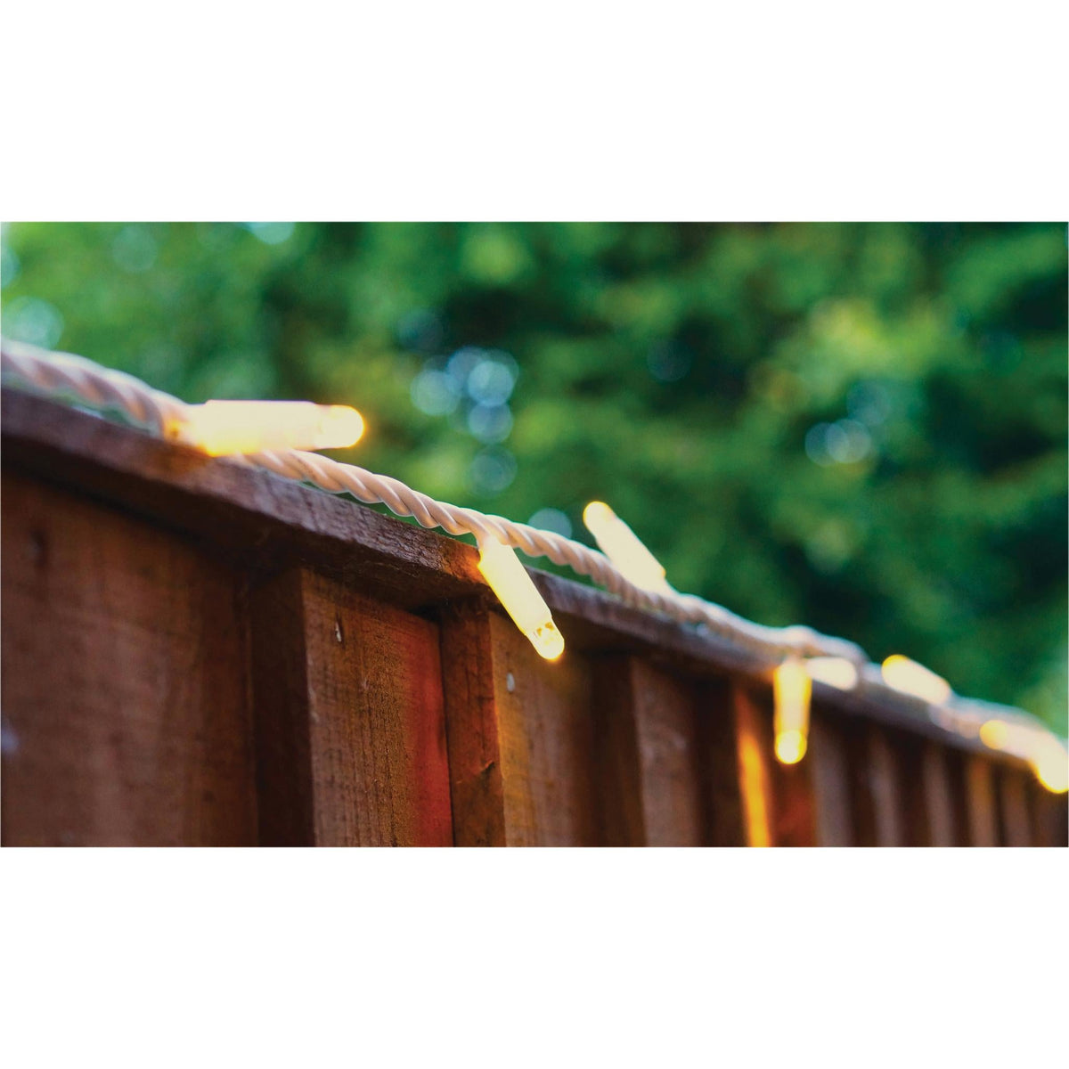 Eagle Connect LED String Lights With White Rubber Cable_String Lights