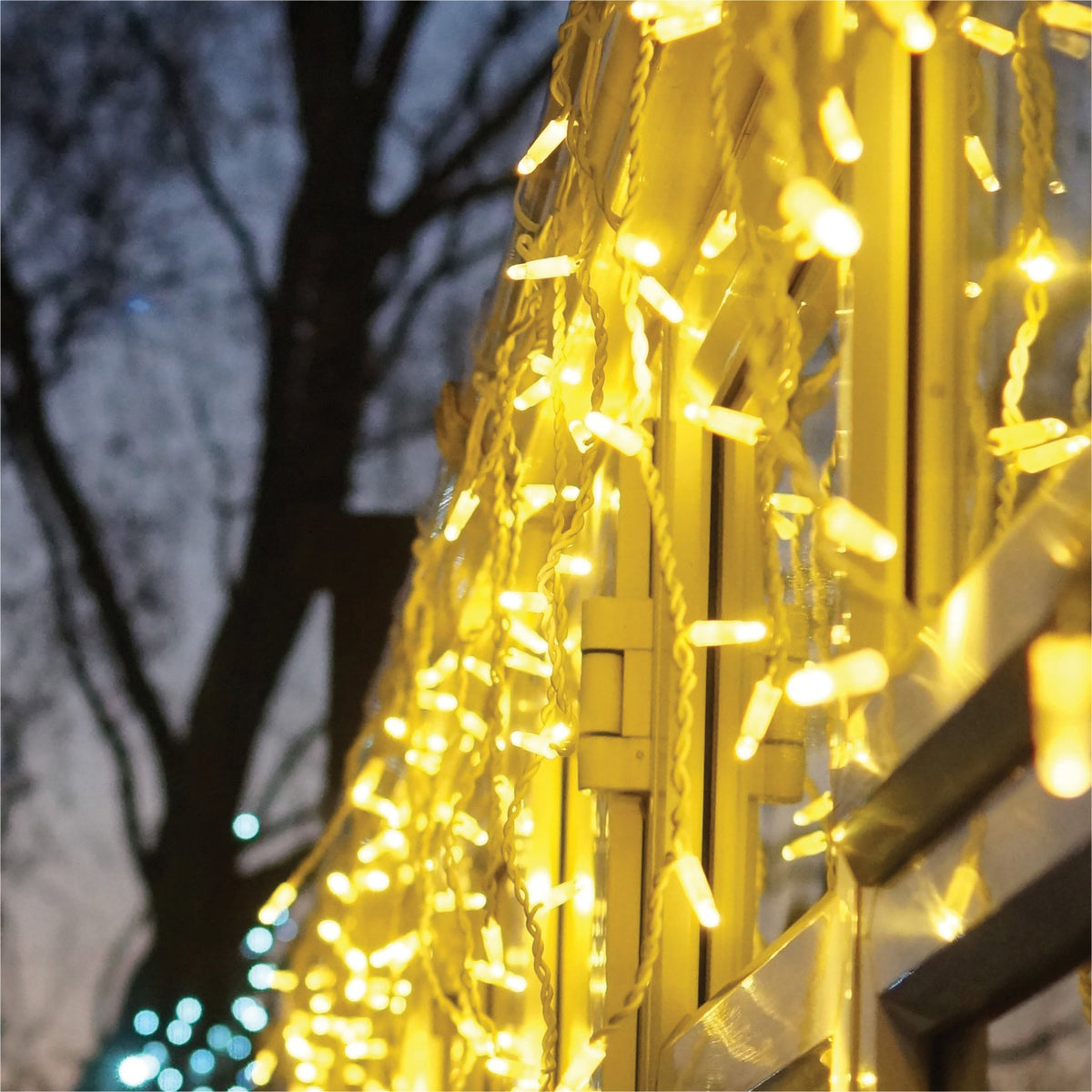 Eagle Connect Icicle Lights White Rubber With 60/40/20cm Drop_Icicle Lights