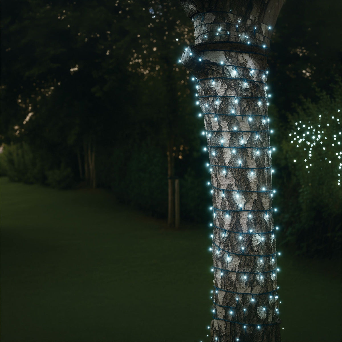 Eagle Connect LED String Lights – Cool White LEDs with Black or White Rubber Cable for Indoor & Outdoor Use_Christmas Lights