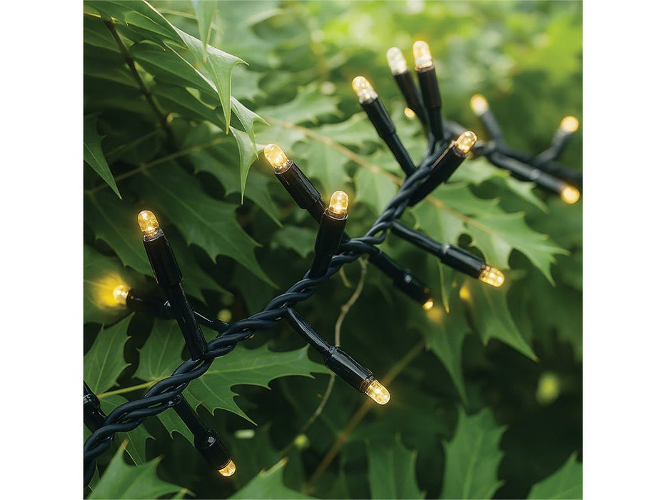Eagle Connect LED Cluster Lights - Warm White - Black or White Rubber Cable_Christmas Lights