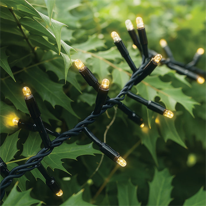 Eagle Connect LED Cluster Lights – Warm White LEDs with Black or White Rubber Cable for Indoor & Outdoor Use_Christmas Lights