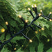 Eagle Connect LED Cluster Lights – Warm White LEDs with Black or White Rubber Cable for Indoor & Outdoor Use_Christmas Lights
