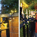 Eagle Connect LED Cluster Lights – Warm White LEDs with Black or White Rubber Cable for Indoor & Outdoor Use_Christmas Lights