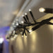Eagle Connect LED Cluster Lights – Cool White LEDs with Black or White Rubber Cable for Indoor & Outdoor Use_Christmas Lights
