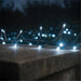 Eagle Connect LED Cluster Lights – Cool White LEDs with Black or White Rubber Cable for Indoor & Outdoor Use_Christmas Lights
