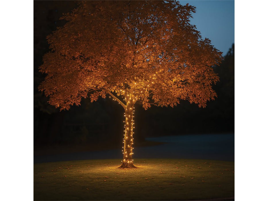 Eagle Connect LED Cluster Lights - Copper/Gold_Christmas Lights
