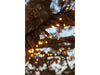 Eagle Connect LED Cluster Lights - Copper/Gold_Christmas Lights