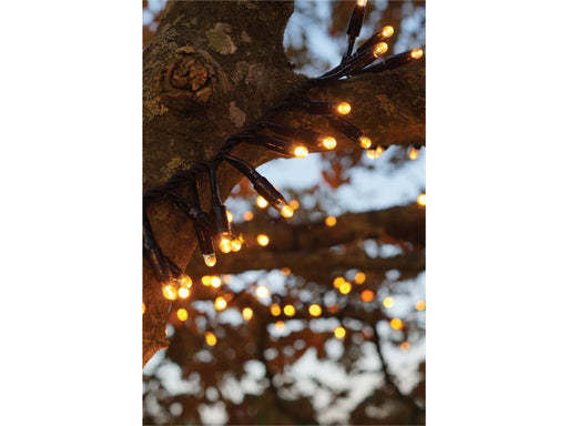 Eagle Connect LED Cluster Lights - Copper/Gold_Christmas Lights