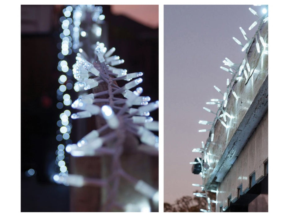 Eagle Connect LED Cluster Lights - Cool White - Black or White Rubber Cable_Christmas Lights