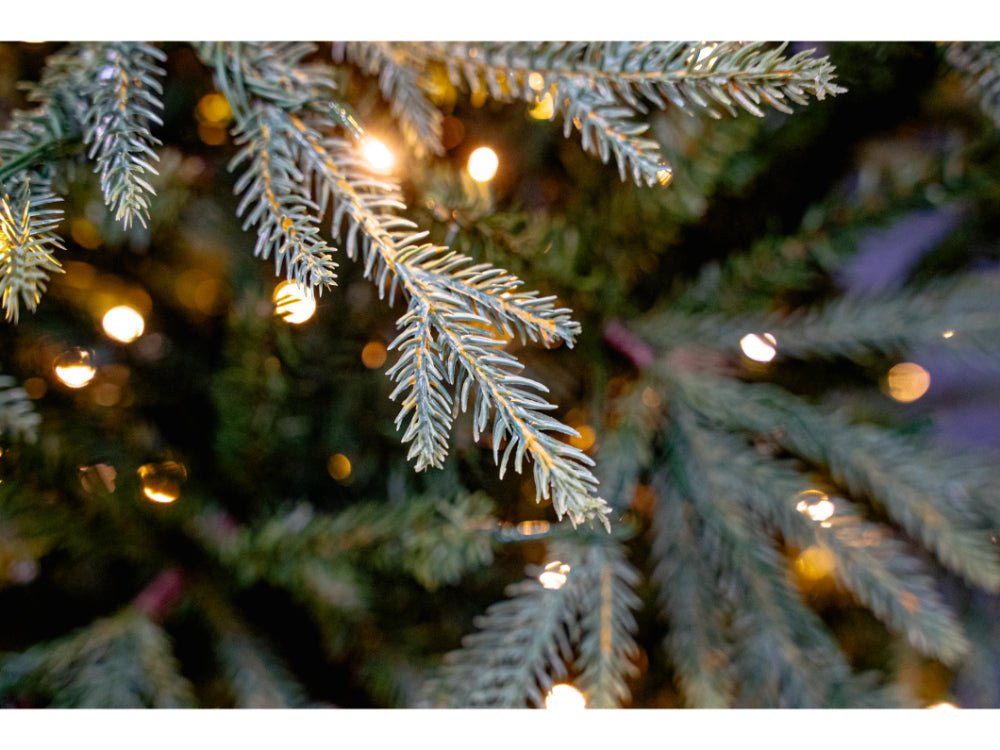 Bosk Elveden Artifical Fir - 7.5ft Tree with 650 Warm White LEDS 8 Function_Artificial Christmas Trees