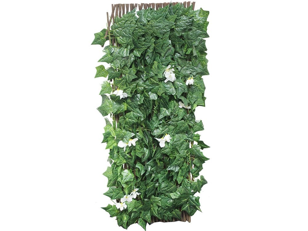 Expanding Wall Trellis - Flower_Garden Trellises