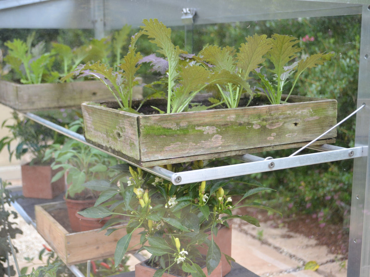4ft Midi Growhouse (Frames & Shelves)_Green Houses