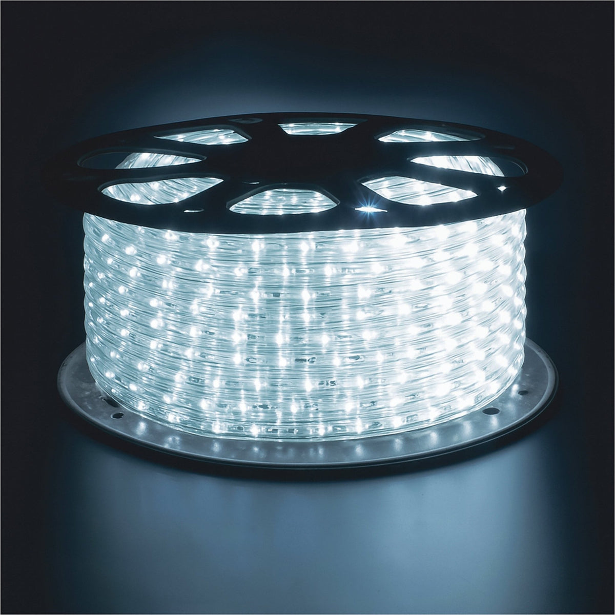 Eagle Static LED Rope Light Kit with Full Wiring Accessories – Easy Installation & Energy Efficient Lighting_Christmas Lights