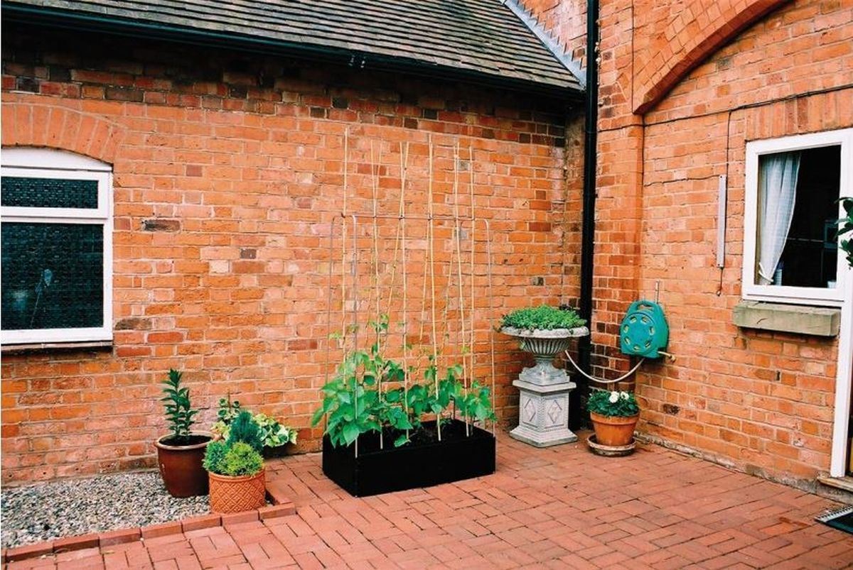 Mini Grow Bed & Crop Support Frame_Raised Beds
