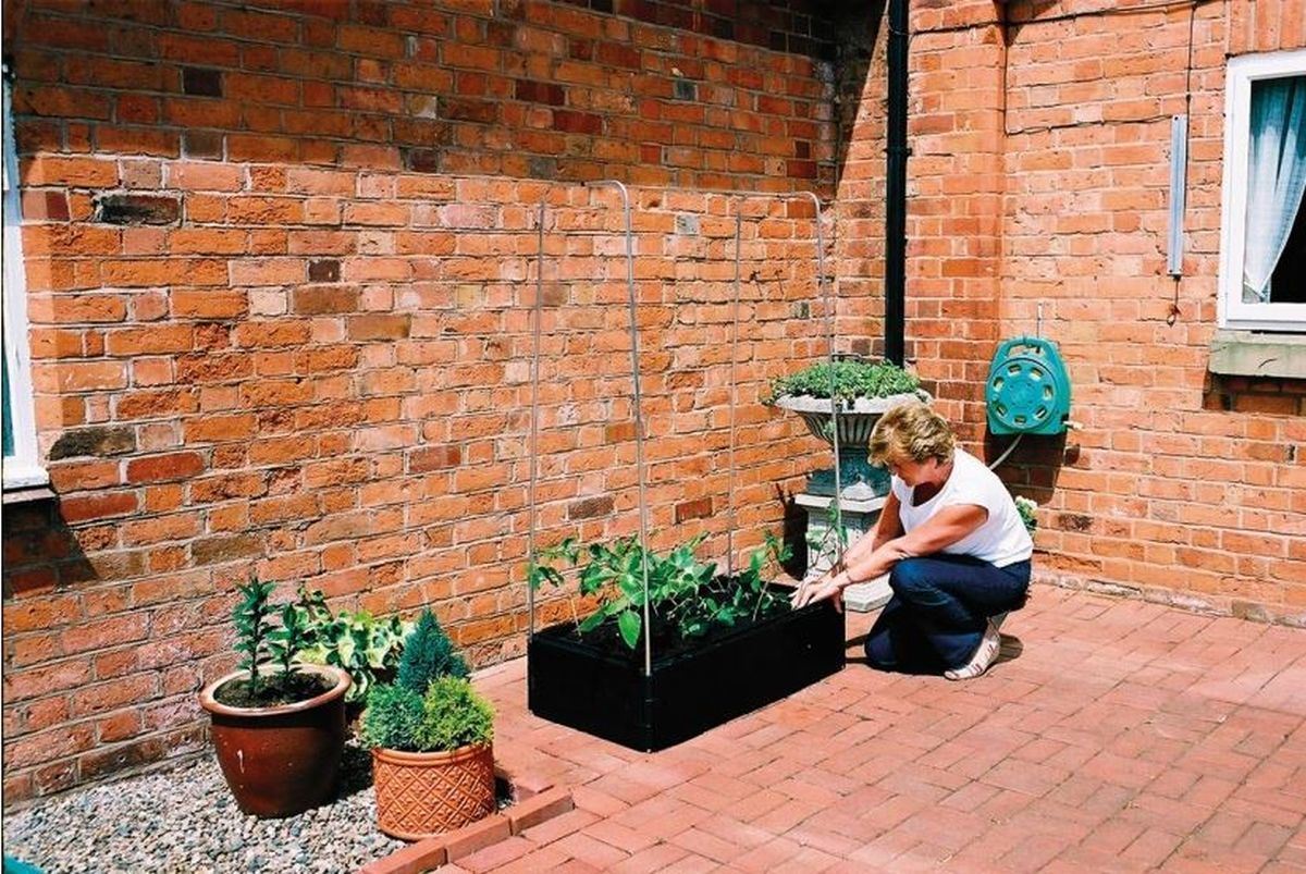 Mini Grow Bed & Crop Support Frame_Raised Beds