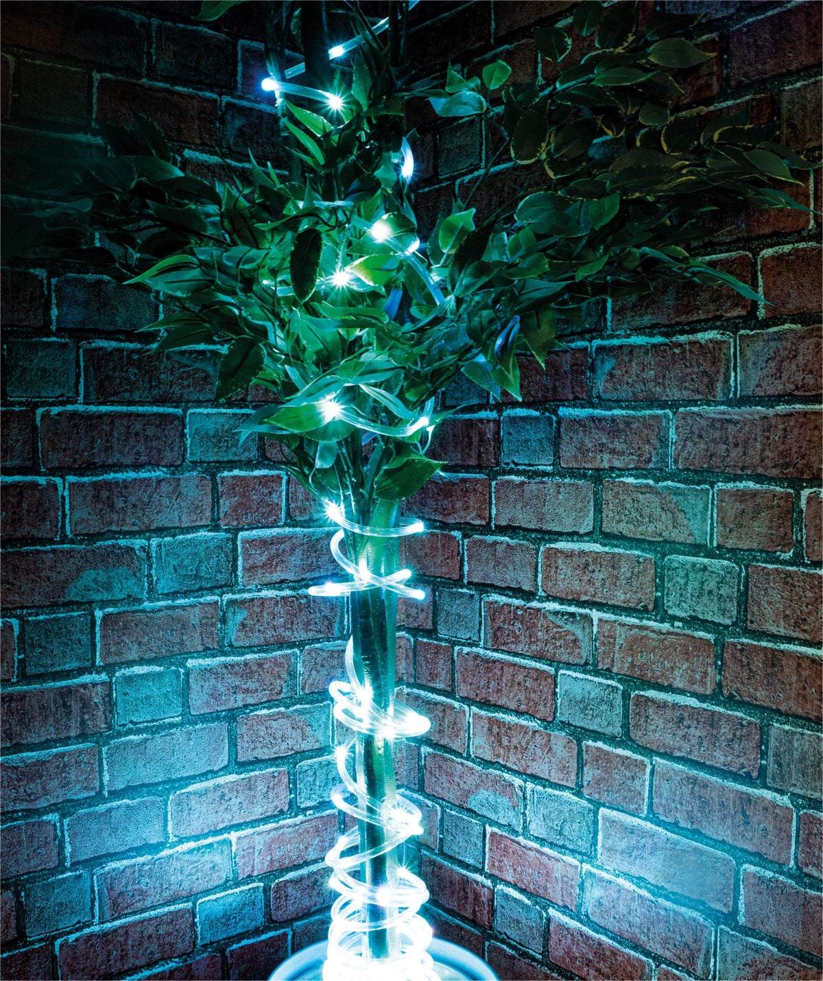 St Helens Home and Garden LED RGBW Outdoor Tubelight 6m Length_Rope Lights