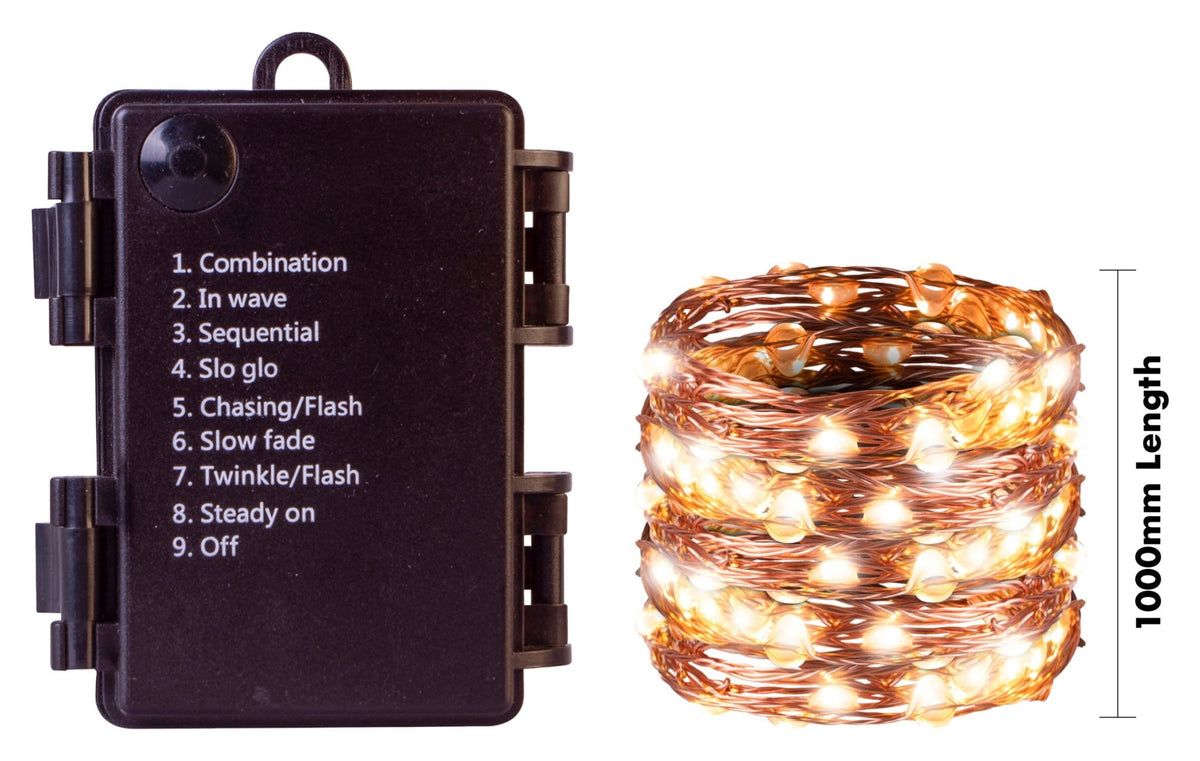 St Helens Home and Garden Battery Copper Wire Warm White LED String Light with Programme Controller_String Lights