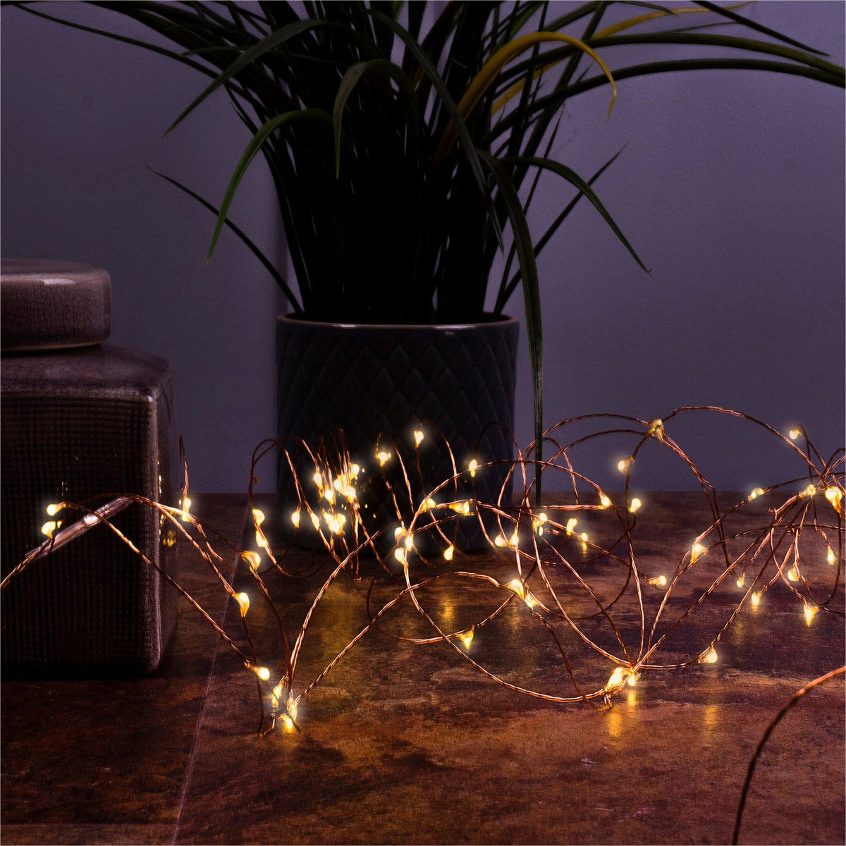 St Helens Home and Garden Battery Copper Wire Warm White LED String Light with Programme Controller_String Lights