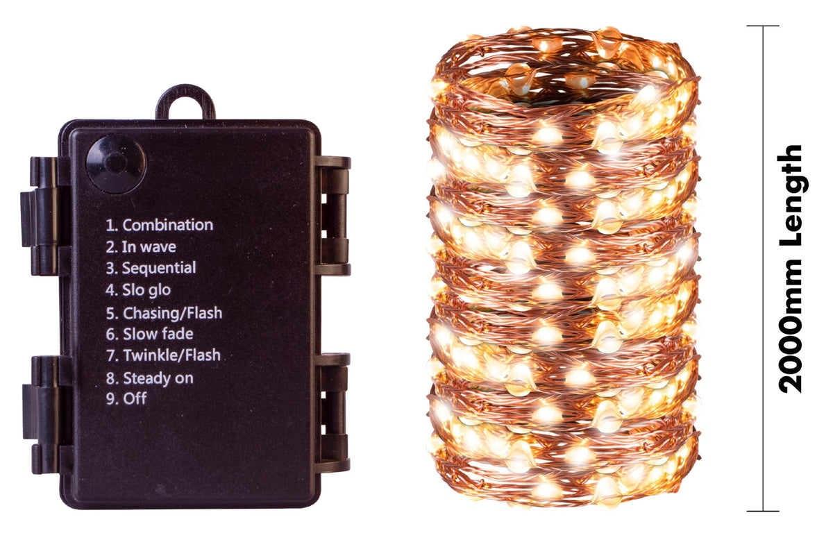St Helens Home and Garden Battery Copper Wire Warm White LED String Light with Programme Controller_String Lights