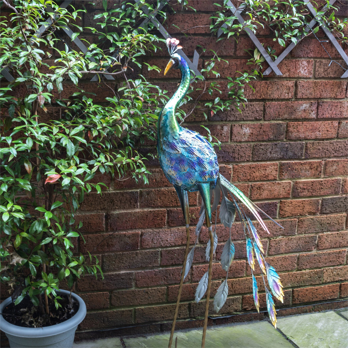 Metal Peacock Garden Ornament_Garden Ornaments