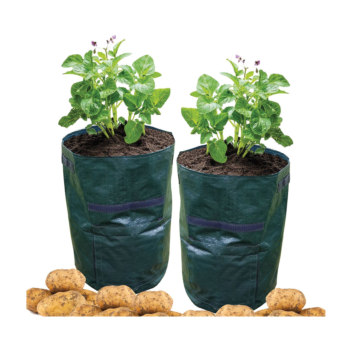 St Helens Home and Garden Potato Grow Bag - Pack of 2_Grow Bags