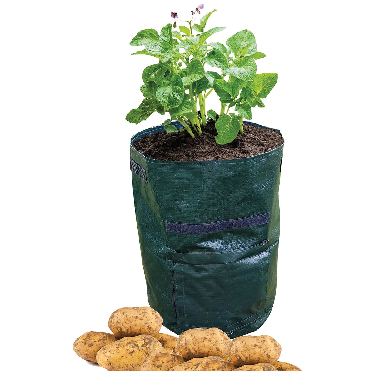 St Helens Home and Garden Potato Grow Bag - Pack of 2_Grow Bags