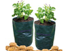 St Helens Home and Garden Potato Grow Bag - Pack of 2_Grow Bags