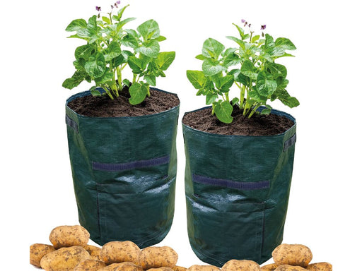 St Helens Home and Garden Potato Grow Bag - Pack of 2_Grow Bags