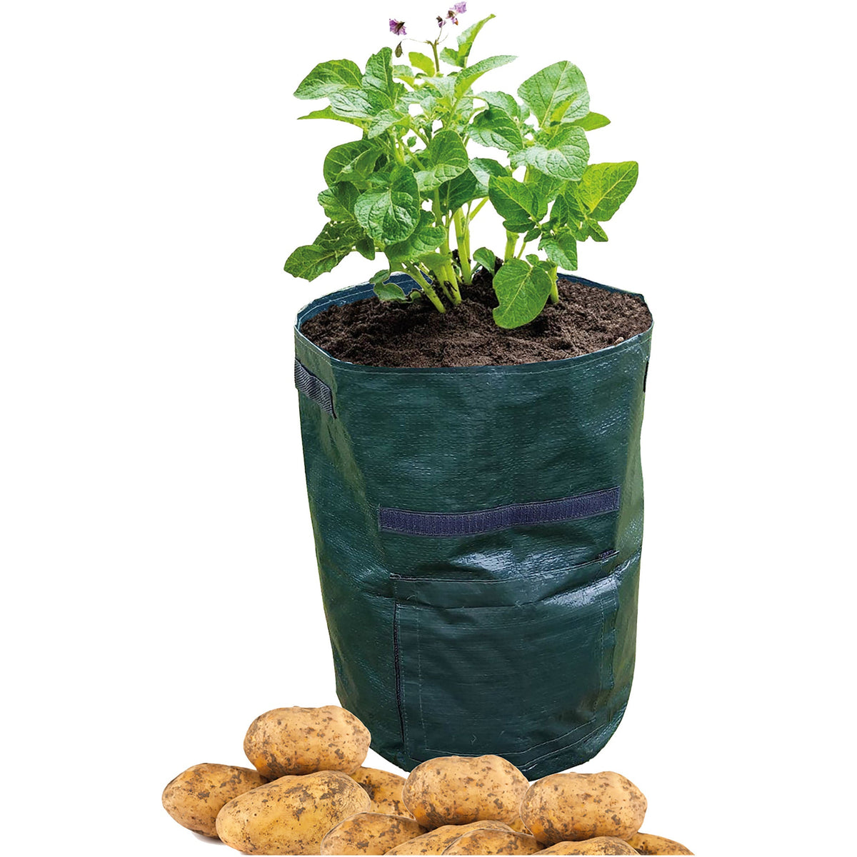 St Helens Home and Garden Potato Grow Bag - Pack of 2_Grow Bags