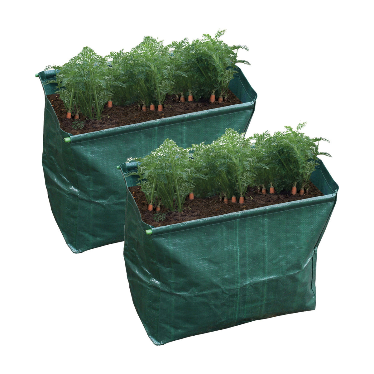 St Helens Home and Garden Carrot Planter - Pack of 2_Grow Bags