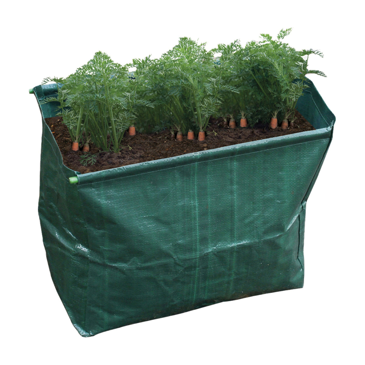 St Helens Home and Garden Carrot Planter - Pack of 2_Grow Bags