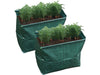 St Helens Home and Garden Carrot Planter - Pack of 2_Grow Bags