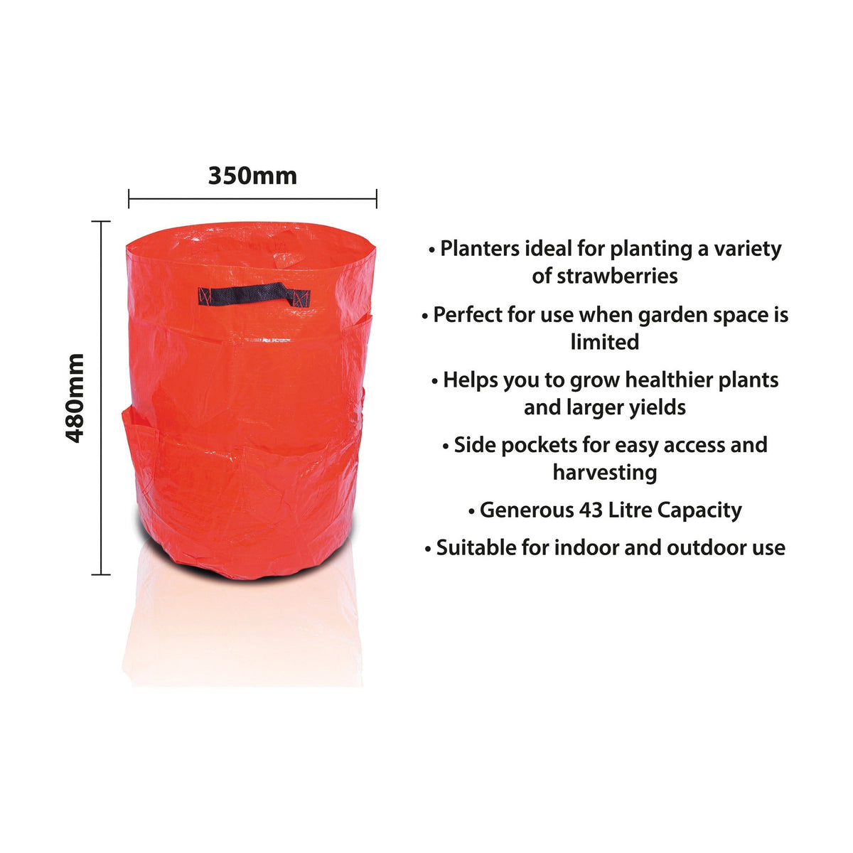 St Helens Home and Garden Strawberry Grow Bag 43L_Grow Bags