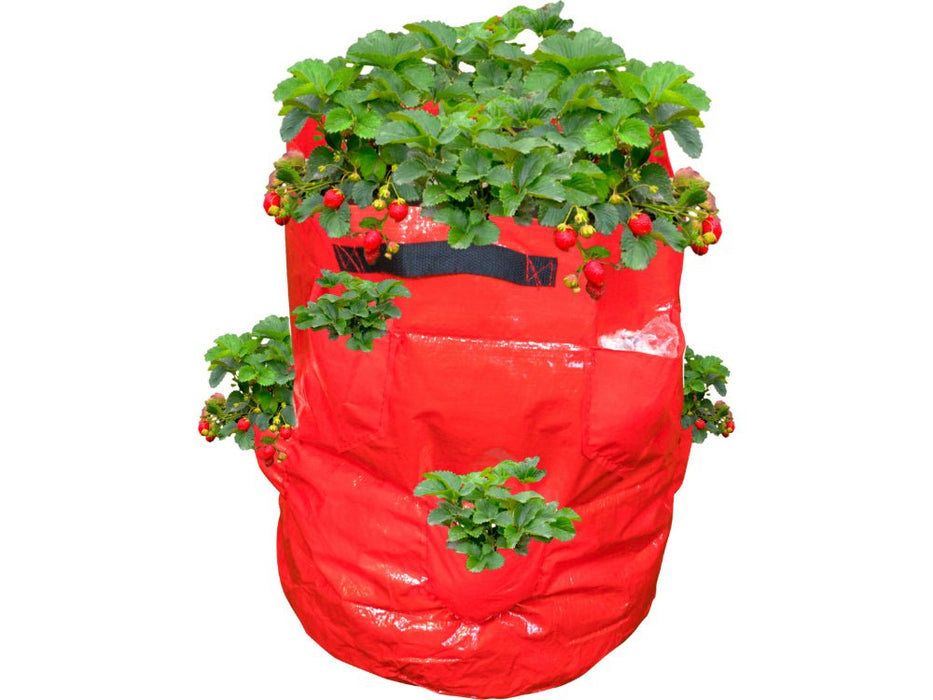 St Helens Home and Garden Strawberry Grow Bag 43L_Grow Bags