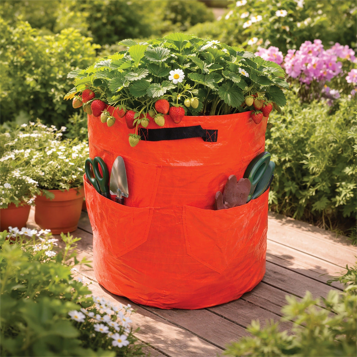 St Helens Home and Garden Strawberry Grow Bag 43L_Grow Bags