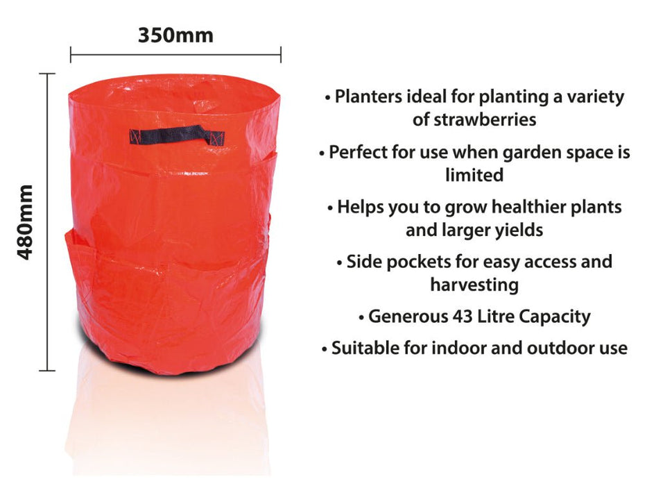St Helens Home and Garden Strawberry Grow Bag 43L_Grow Bags