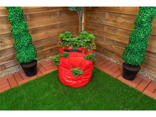 St Helens Home and Garden Strawberry Grow Bag 43L_Grow Bags