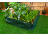 St Helens Home and Garden Raised Square Grow Bag_Grow Bags