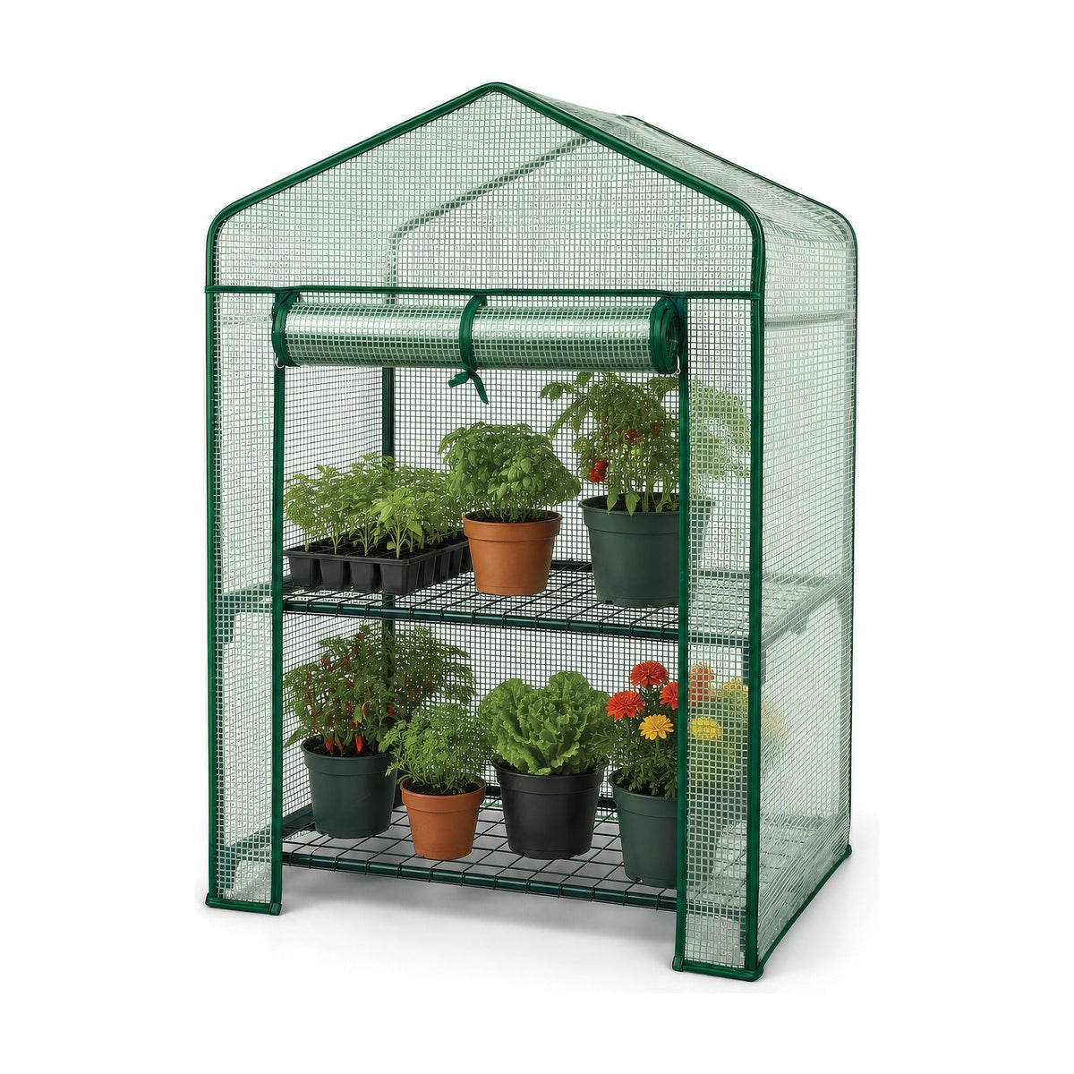 St Helens Home and Garden Mini Greenhouse with Shelves and PVC Cover_Grow Bags