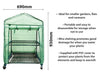 St Helens Home and Garden Mini Greenhouse with Shelves and PVC Cover_Grow Bags