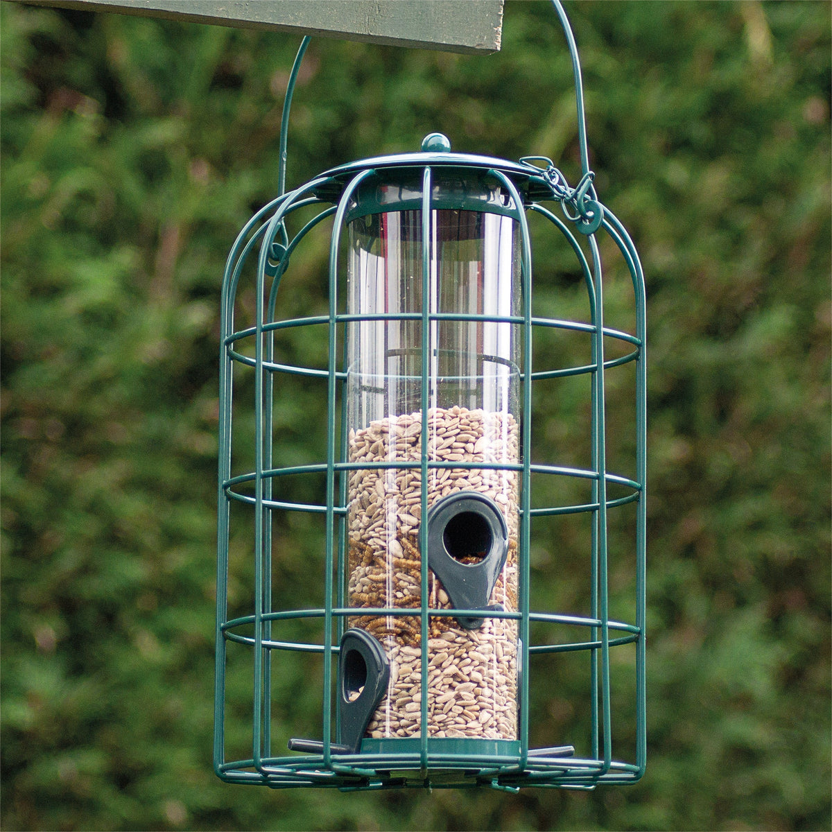 St Helens Home and Garden Squirrel Resistant Bird Feeder_Bird Feeders