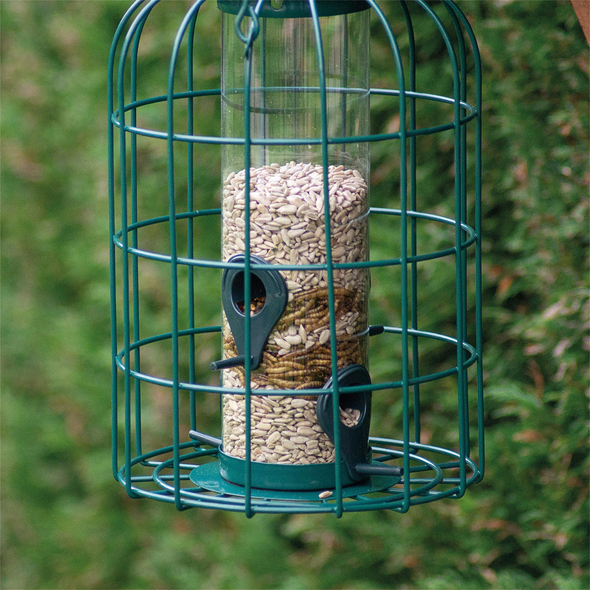 St Helens Home and Garden Squirrel Resistant Bird Feeder_Bird Feeders